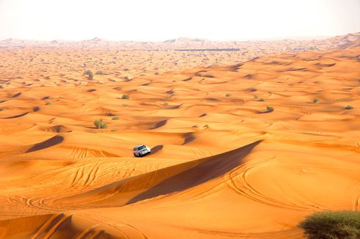 Сафари по пустыне